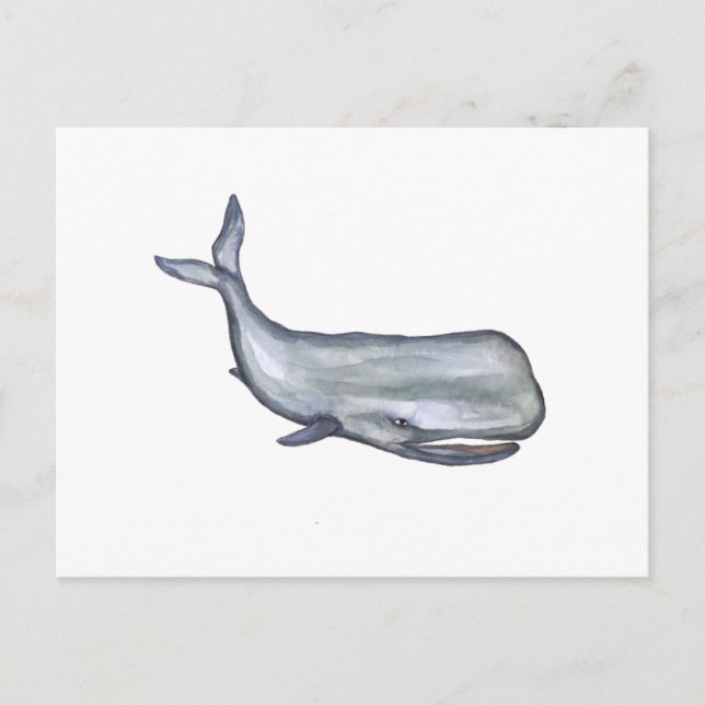 Whale watercolor art  postcard (Front)