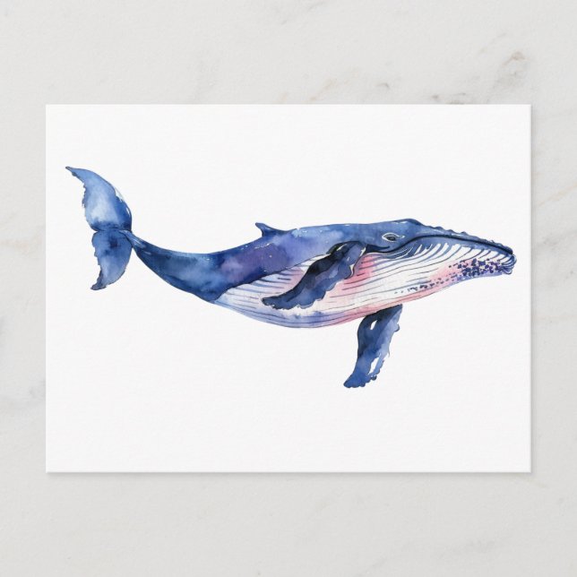 Whale Watercolor   Postcard (Front)