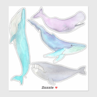 Whale Whale Whale... Whale Stickers