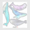 Whale Whale Whale... Whale Stickers