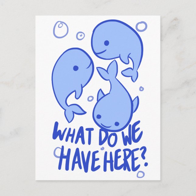 Whale Whale Whale What Do We Have Here Postcard (Front)