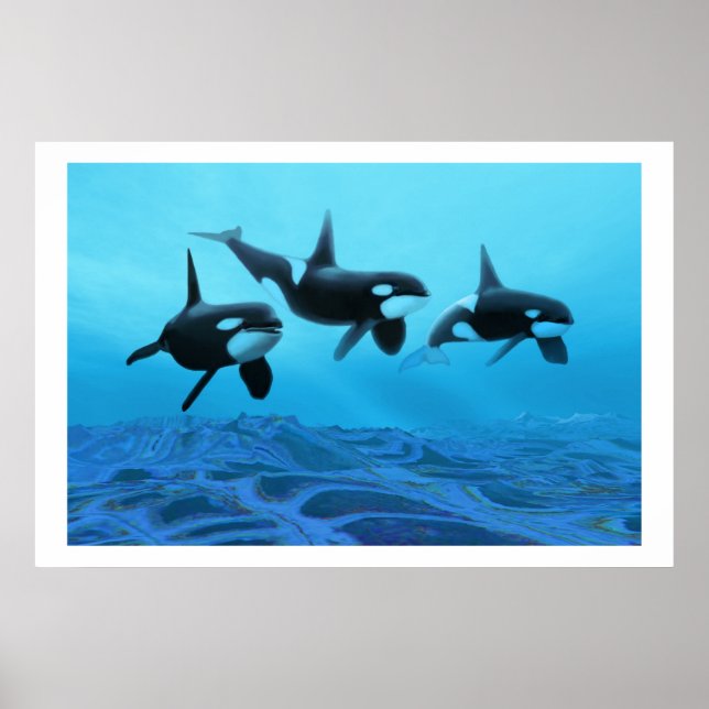 WHALE WORLD  PRINT (Front)