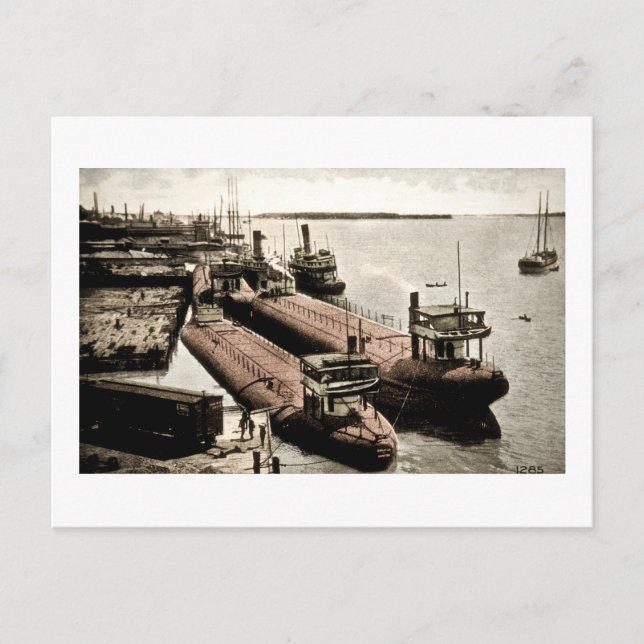 Whalebacks at Belle Isle, Michigan Postcard (Front)