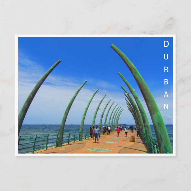 whalebone pier durban postcard (Front)
