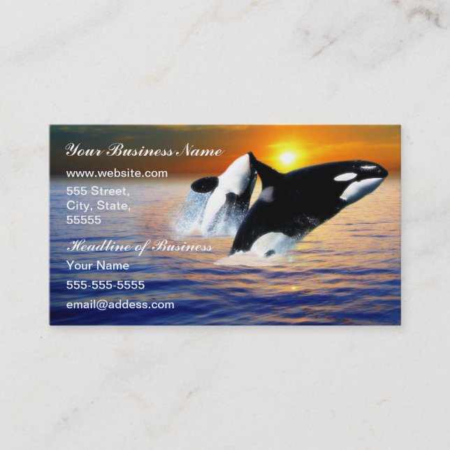 Whales at sunset business card (Front)