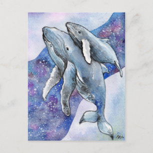 Whales in Star River Postcard