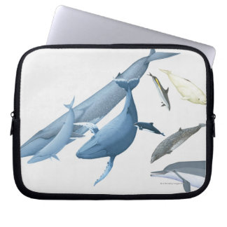 Whales Laptop Sleeve