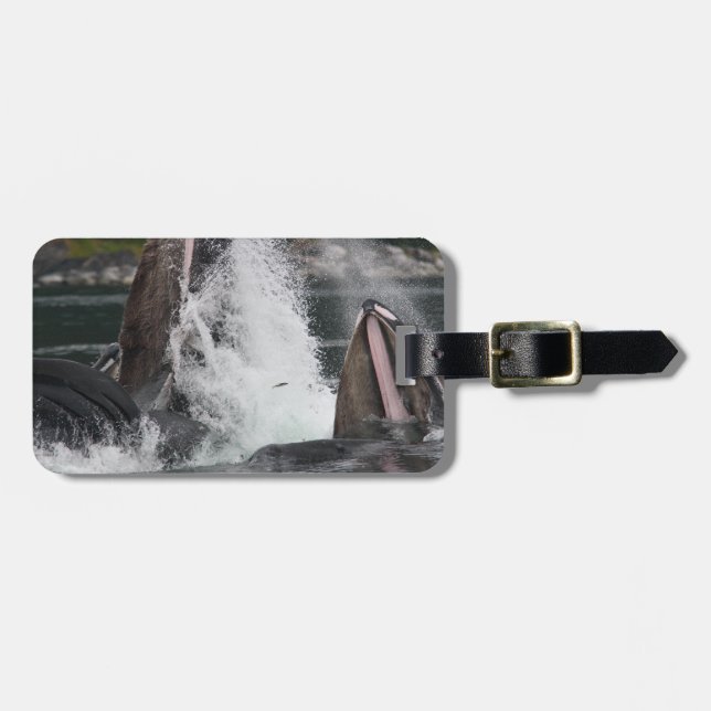 whales luggage tag (Front Horizontal)