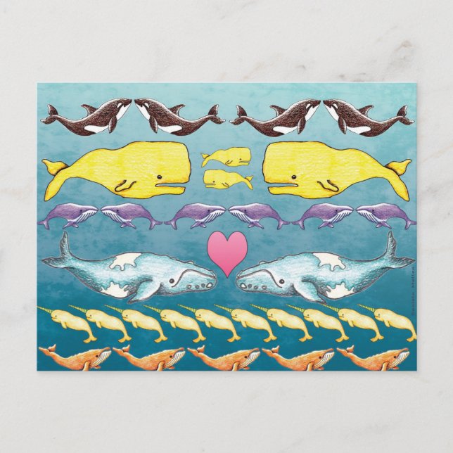 Whales of the Sea Postcard (Front)