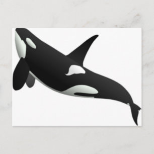 Whales Postcard