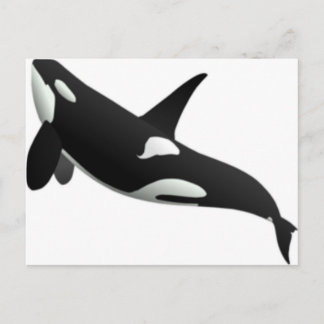 Whales Postcard