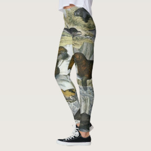 Whales, Seals and Walruses, Vintage Marine Animals Leggings