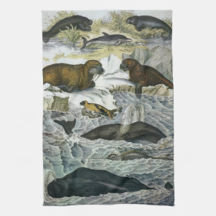 Whales, Seals and Walruses, Vintage Marine Animals Tea Towel