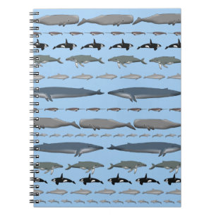 whales spiral notebook