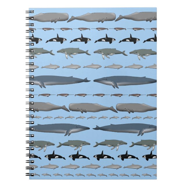 whales spiral notebook (Front)
