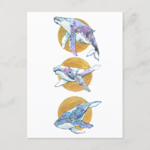 Whales Trio Fly Float and Dream B Postcard