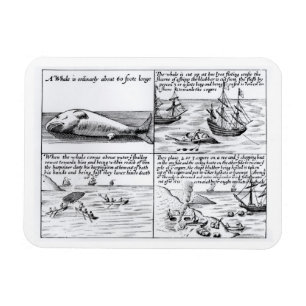 Whaling at Spitzbergen in 1611 (engraving) (b/w ph Magnet