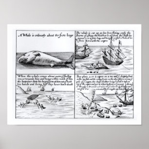 Whaling at Spitzbergen in 1611 (engraving) (b/w ph Poster