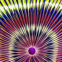 Wham-O Ultimate UPA Approved 175g Frisbee Flying D