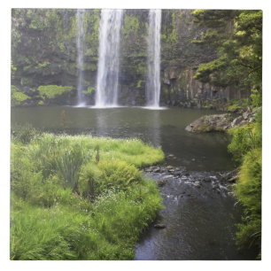 Whangarei Falls, Whangarei, Northland, New 2 Tile