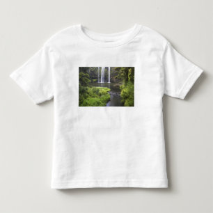 Whangarei Falls, Whangarei, Northland, New 2 Toddler T-Shirt
