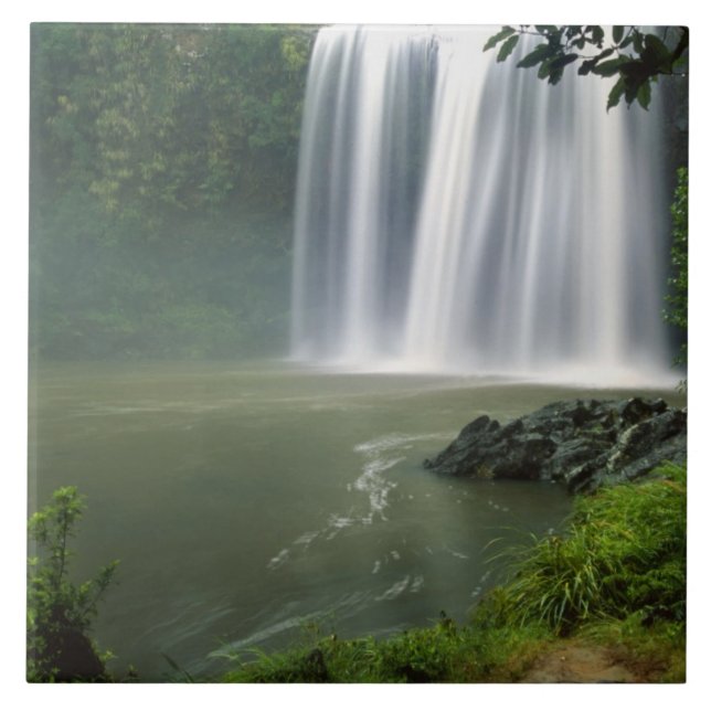 Whangarei Falls, Whangarei, Northland, New Tile (Front)