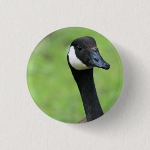 What? 3 Cm Round Badge