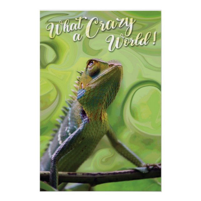 What a Crazy World - A special Lizard Poster (Front)