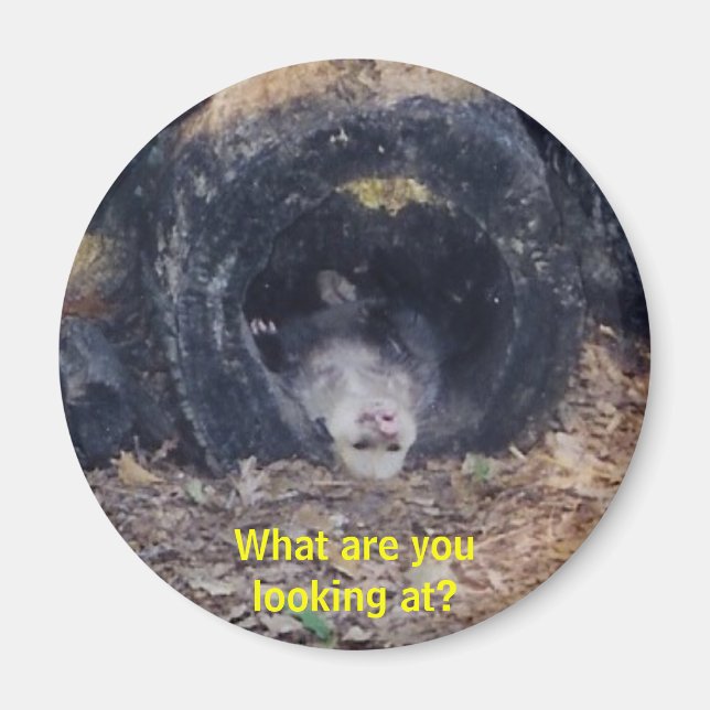 What A Day! - magnet (Front)