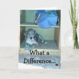 What a Difference A Year Makes!!!! Card