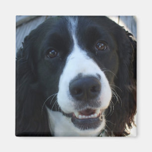 What a face Magnet