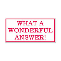 "WHAT A WONDERFUL ANSWER!" Grading Rubber Stamp