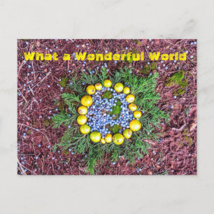 What a World Postcard