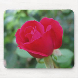 What an Awesome Rose Mouse Pad