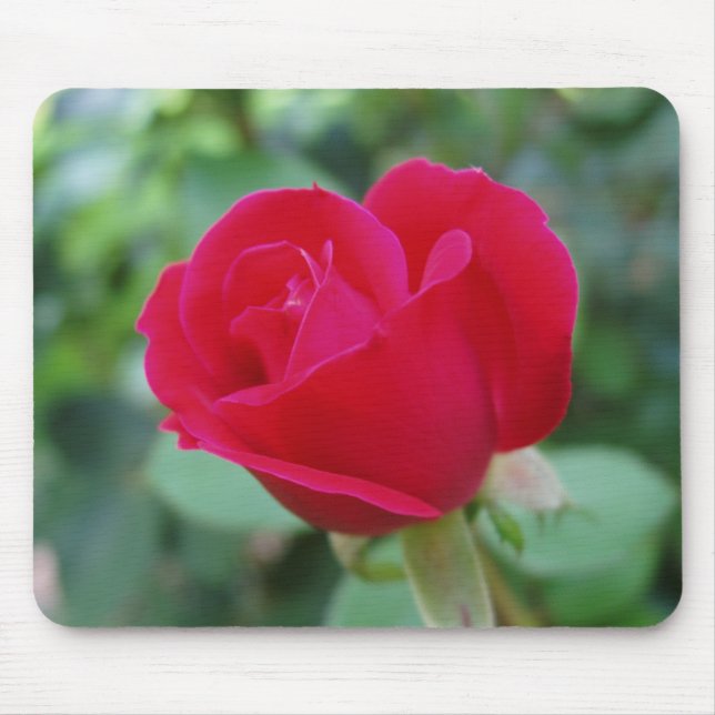 What an Awesome Rose Mouse Pad (Front)