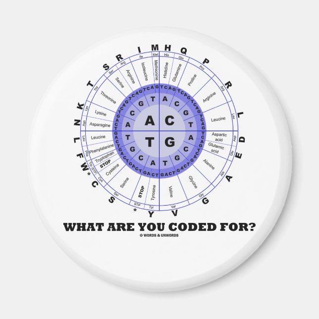 What Are You Coded For? (Amino Acid Wheel) Magnet (Front)