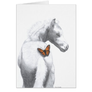 What Are You Looking At?