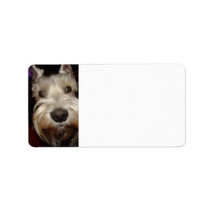 What are you looking at? label