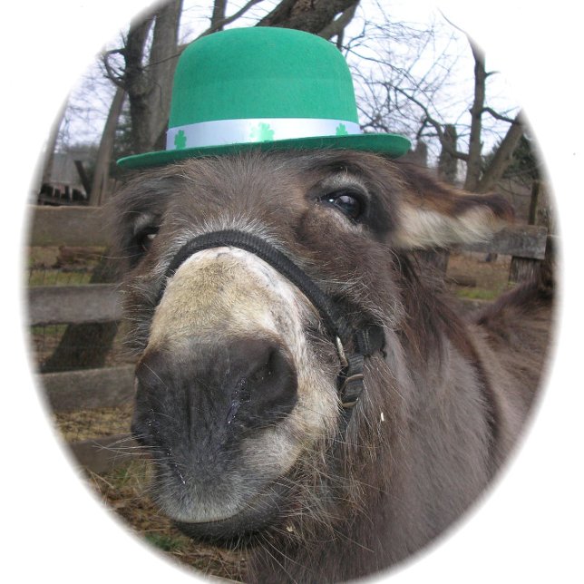 "What Are You Looking At?" T-Shirt (Creator Uploaded)