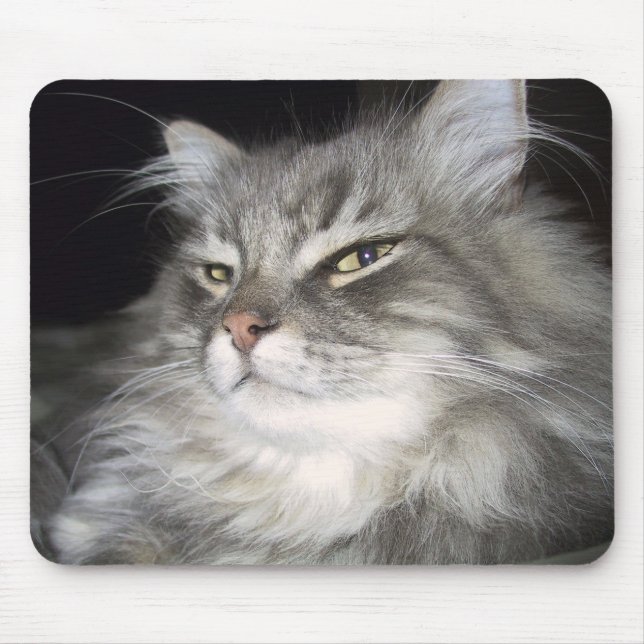 What Attitude? Mouse Pad (Front)