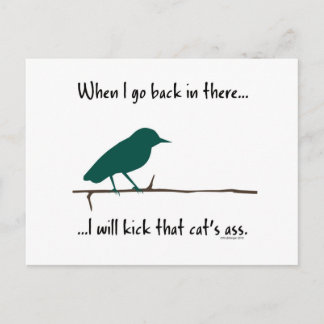 What birds dream of Postcard