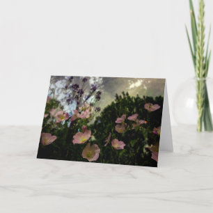 what blooms in the shadows card