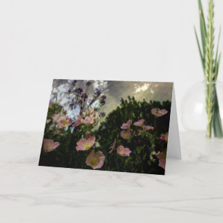 what blooms in the shadows card