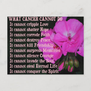 What Cancer Cannot Do PinkGeranium Flower Postcard