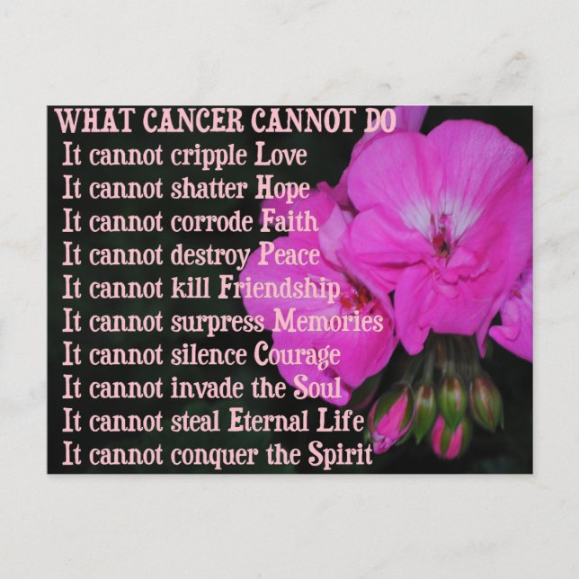 What Cancer Cannot Do PinkGeranium Flower Postcard (Front)