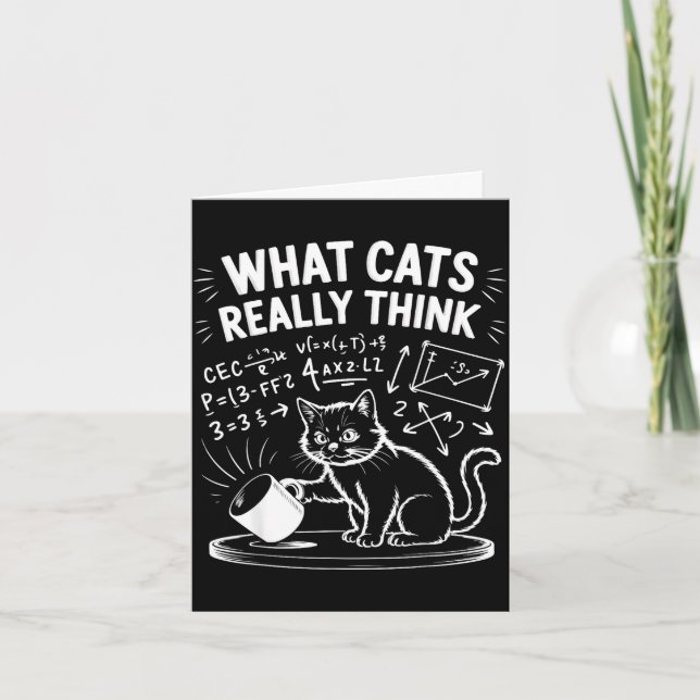 What cats really think funny cat meme physics humo card (Front)