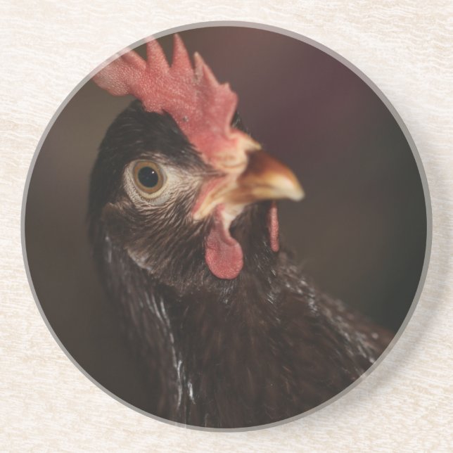 What? Coaster (Front)