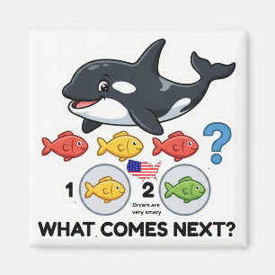 What Comes Next? – Orca Pattern Learning Magnet