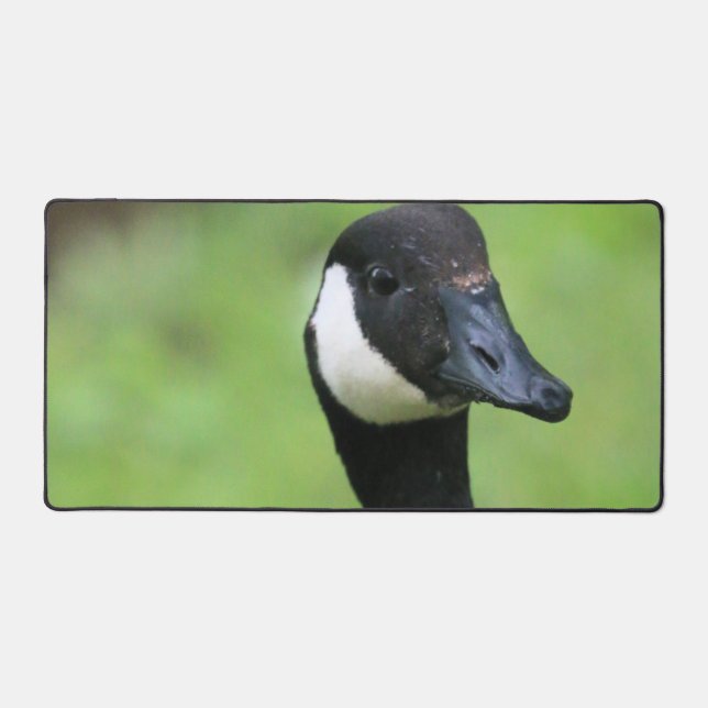 What Desk Mat (Front)