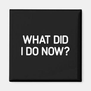 What Did I Do Now, Funny, Jokes, Sarcastic  Magnet